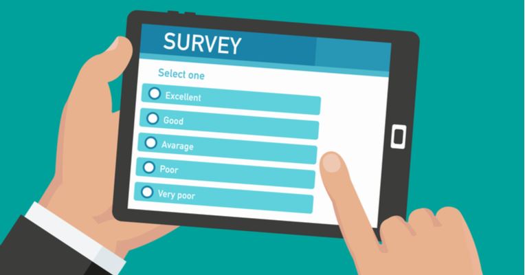 survey pic